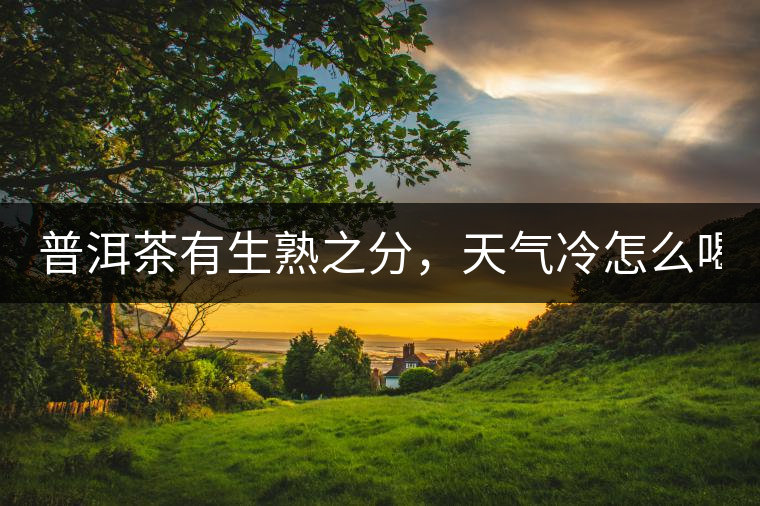 普洱茶有生熟之分，天氣冷怎么喝？