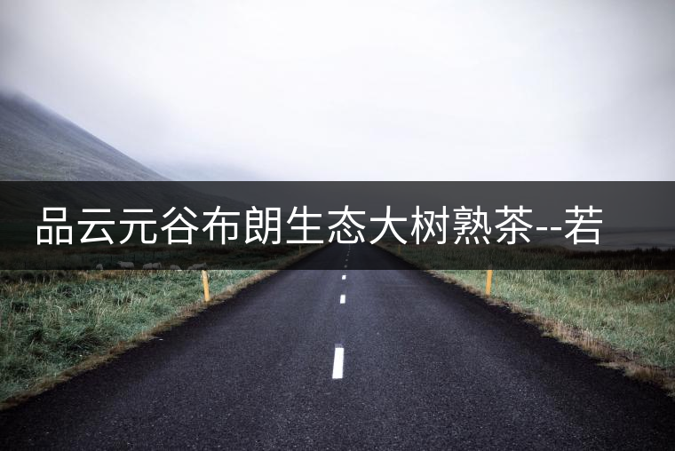 品云元谷布朗生態(tài)大樹(shù)熟茶--若谷 品云元谷布朗生態(tài)大樹(shù)熟茶--若谷