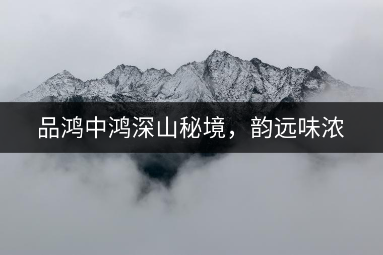 品鴻中鴻深山秘境，韻遠(yuǎn)味濃