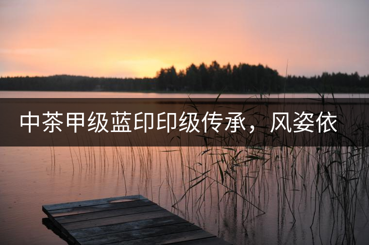 中茶甲級藍印印級傳承，風姿依舊