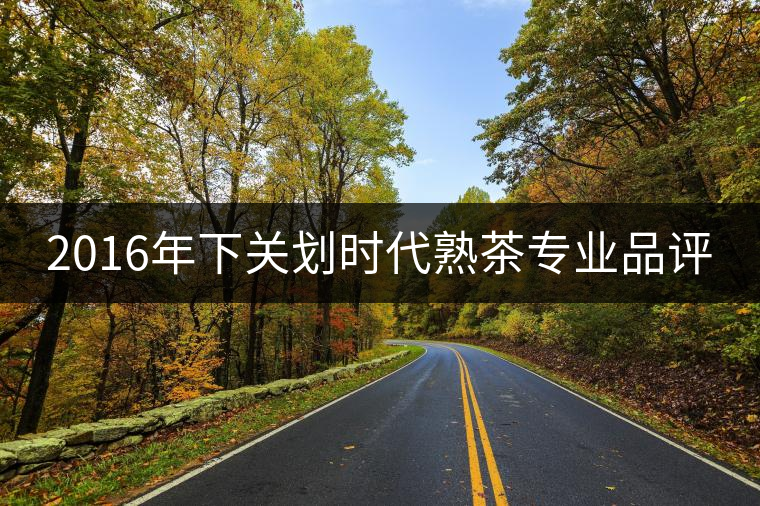 2016年下關(guān)劃時代熟茶專業(yè)品評 2016年下關(guān)劃時代熟茶專業(yè)品評