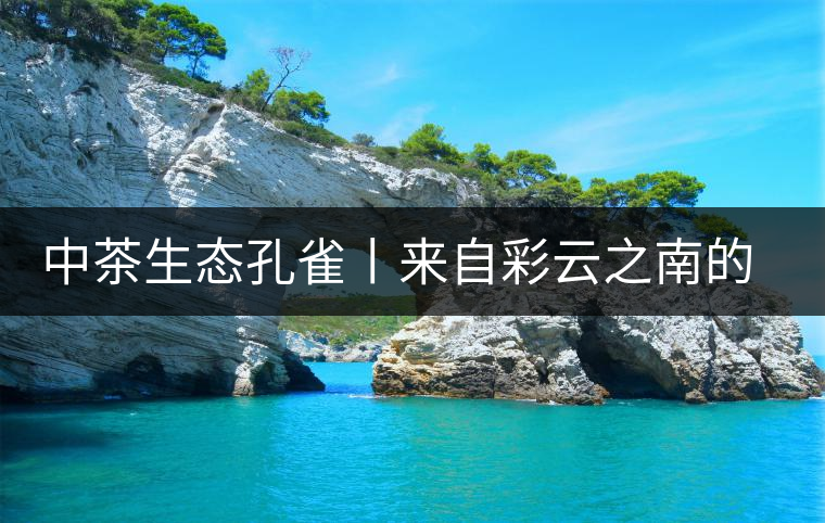 中茶生態(tài)孔雀丨來(lái)自彩云之南的味道 中茶生態(tài)孔雀丨來(lái)自彩云之南的味道