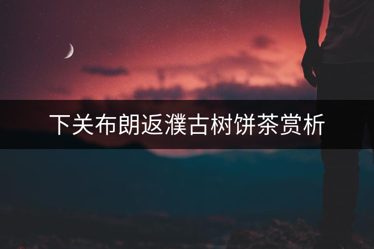 下關(guān)布朗返濮古樹(shù)餅茶賞析