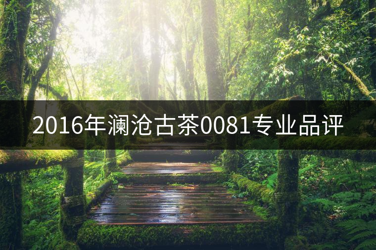 2016年瀾滄古茶0081專(zhuān)業(yè)品評(píng)