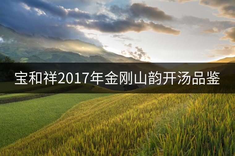 寶和祥2017年金剛山韻開湯品鑒