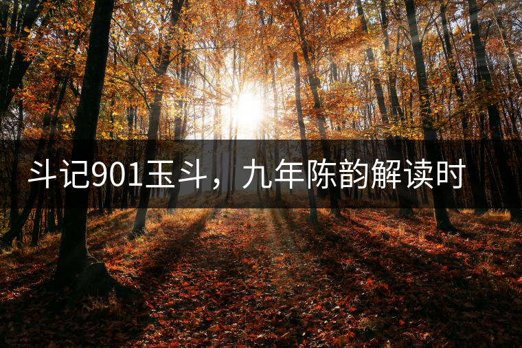 斗記901玉斗，九年陳韻解讀時間之味