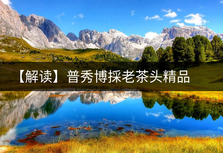 【解讀】普秀博採(cǎi)老茶頭精品茶磚