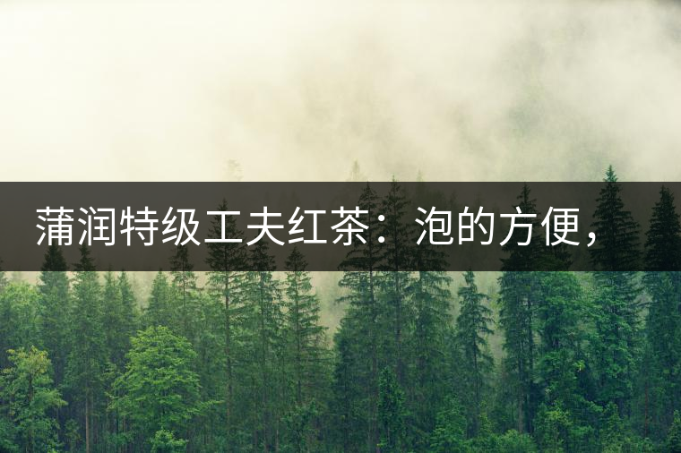 蒲潤(rùn)特級(jí)工夫紅茶：泡的方便，喝的舒適