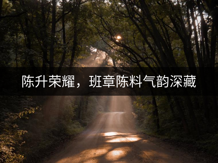 陳升榮耀，班章陳料氣韻深藏