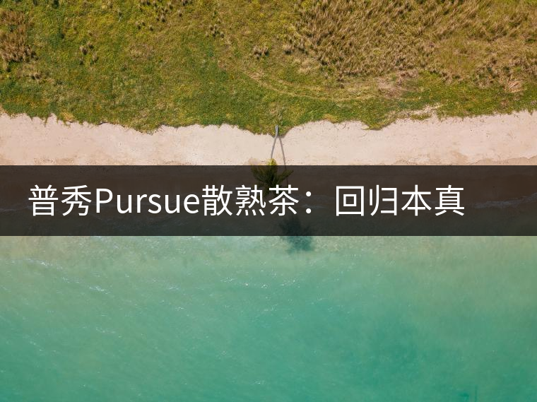 普秀Pursue散熟茶：回歸本真，一款高性價比口糧散熟茶