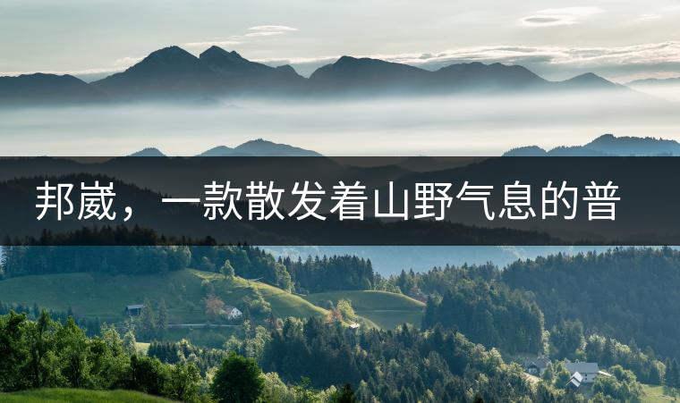 邦崴，一款散發(fā)著山野氣息的普洱