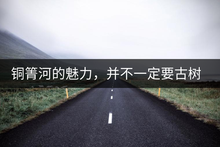 銅箐河的魅力，并不一定要古樹來體現(xiàn)