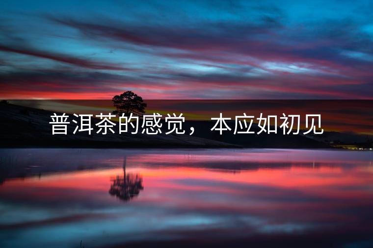 普洱茶的感覺，本應(yīng)如初見