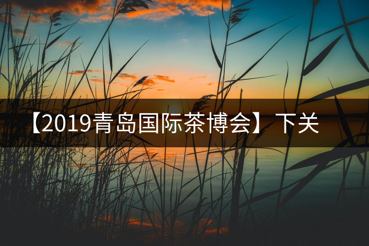 【2019青島國際茶博會】下關沱茶攜新品C位亮相！