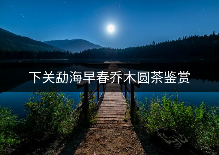 下關(guān)勐海早春喬木圓茶鑒賞