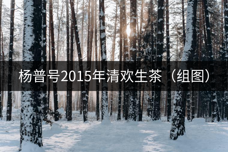 楊普號(hào)2015年清歡生茶(組圖) 楊普號(hào)2015年清歡生茶(組圖)