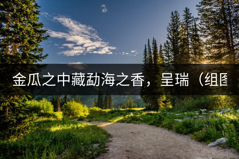 金瓜之中藏勐海之香，呈瑞（組圖）