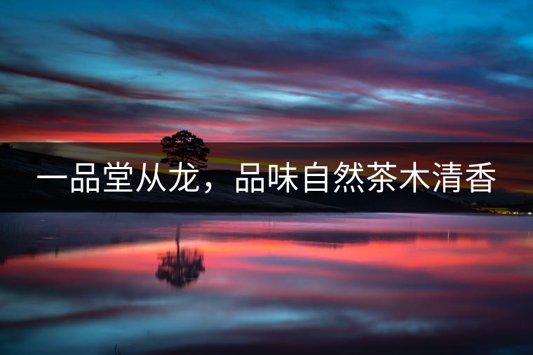 一品堂從龍，品味自然茶木清香