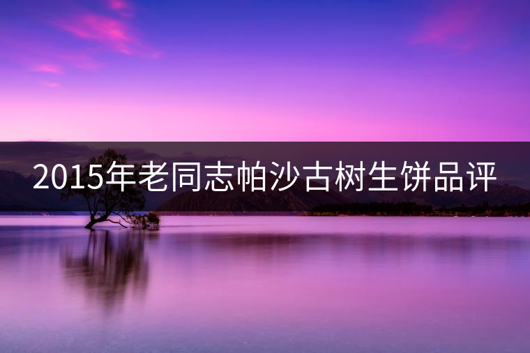 2015年老同志帕沙古樹生餅品評 2015年老同志帕沙古樹生餅品評