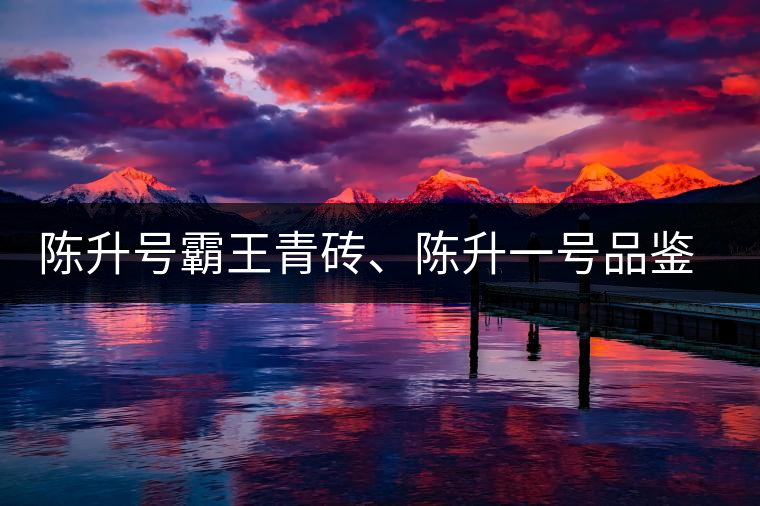 陳升號霸王青磚、陳升一號品鑒【圖】