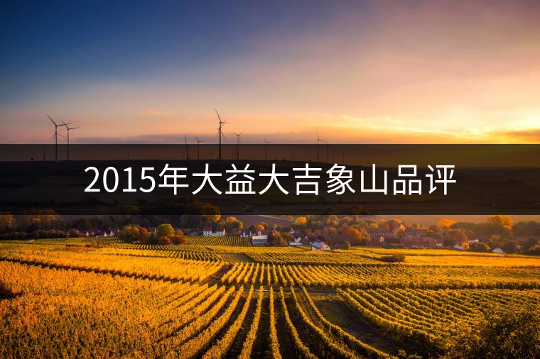 2015年大益大吉象山品評 2015年大益大吉象山品評