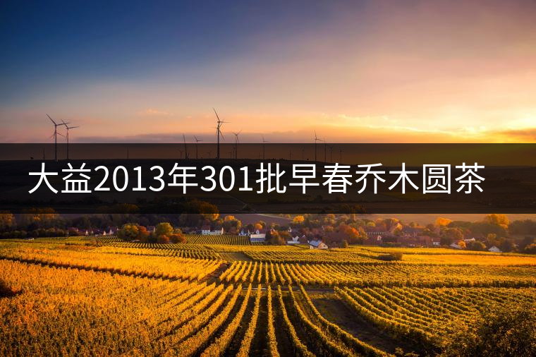 大益2013年301批早春喬木圓茶開湯品鑒