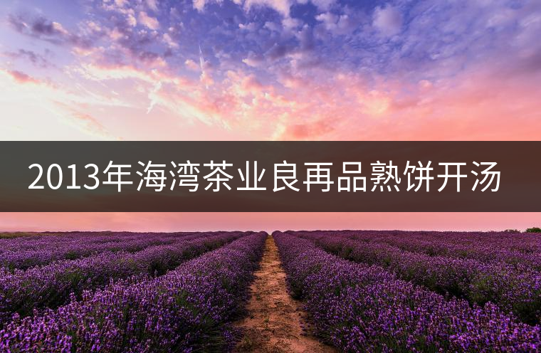 2013年海灣茶業(yè)良再品熟餅開(kāi)湯品鑒