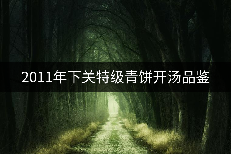 2011年下關(guān)特級(jí)青餅開湯品鑒 2011年下關(guān)特級(jí)青餅開湯品鑒