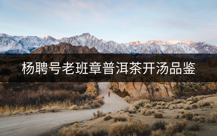 楊聘號老班章普洱茶開湯品鑒 楊聘號老班章普洱茶開湯品鑒