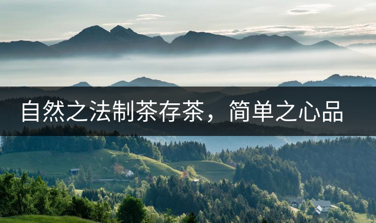 自然之法制茶存茶，簡單之心品茶