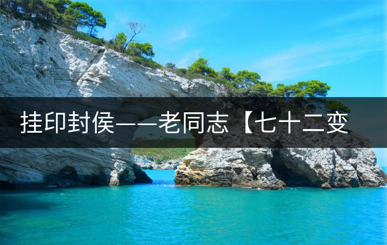 掛印封侯——老同志【七十二變】生肖猴餅開湯品鑒