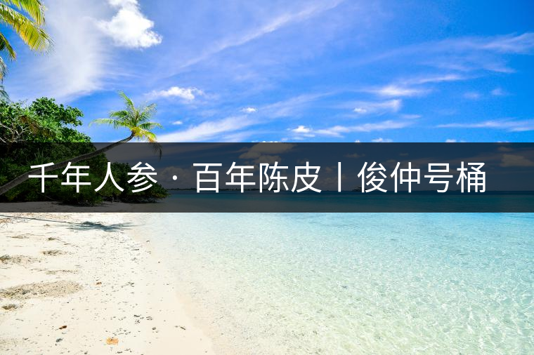 千年人參 · 百年陳皮丨俊仲號(hào)桶裝柑普茶豈止于大！