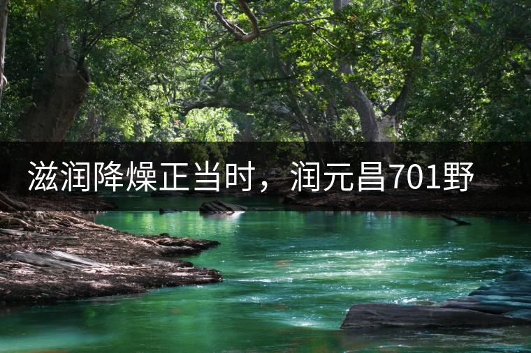 滋潤(rùn)降燥正當(dāng)時(shí)，潤(rùn)元昌701野生古樹(shù)紅茶驚鴻再現(xiàn)