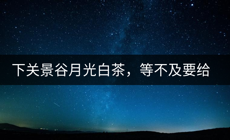 下關(guān)景谷月光白茶，等不及要給你的思念
