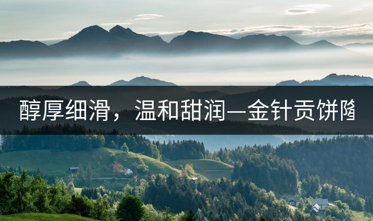 醇厚細(xì)滑，溫和甜潤—金針貢餅隆重上市！
