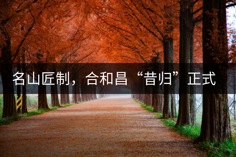 名山匠制，合和昌“昔歸”正式上市