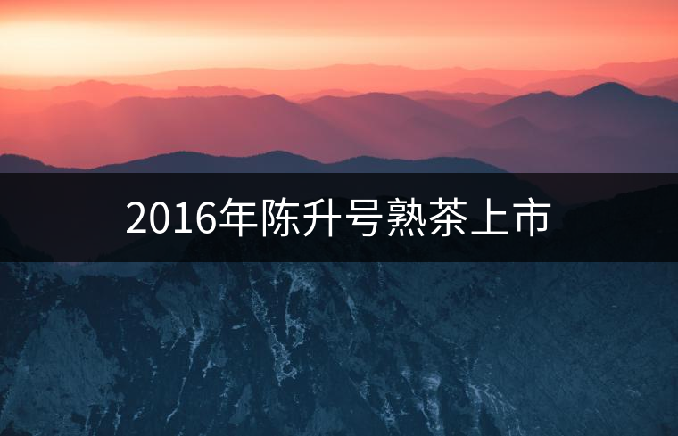2016年陳升號熟茶上市