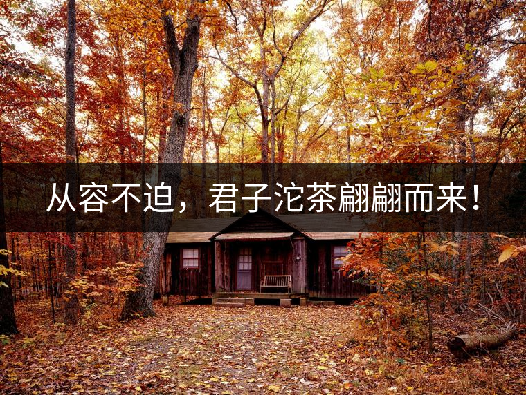 從容不迫，君子沱茶翩翩而來！