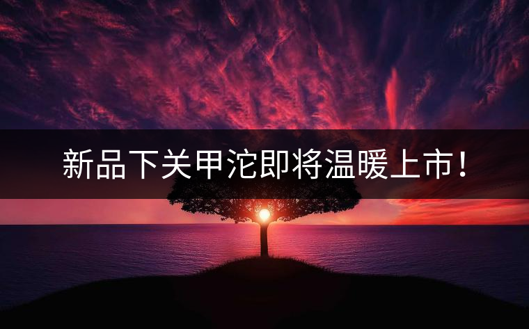 新品下關(guān)甲沱即將溫暖上市！