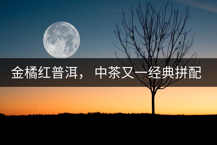 金橘紅普洱， 中茶又一經(jīng)典拼配力作，值得期待！