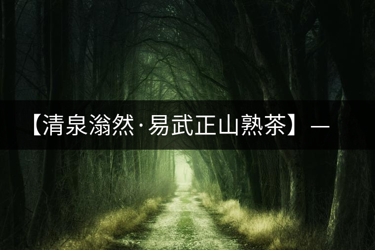 【清泉滃然·易武正山熟茶】——熨帖冬季的寒冷，來的正是時候！