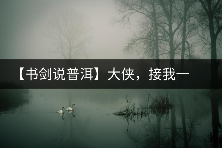 【書劍說普洱】大俠，接我一棒