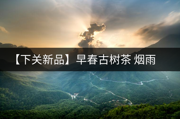 【下關(guān)新品】早春古樹(shù)茶 煙雨意濃濃