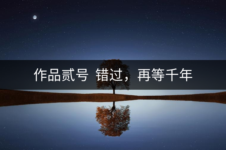 作品貳號  錯(cuò)過，再等千年