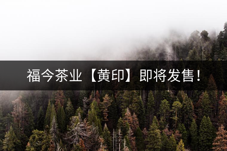 福今茶業(yè)【黃印】即將發(fā)售！