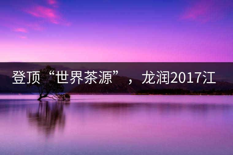 登頂“世界茶源”，龍潤2017江城茶上市啦！