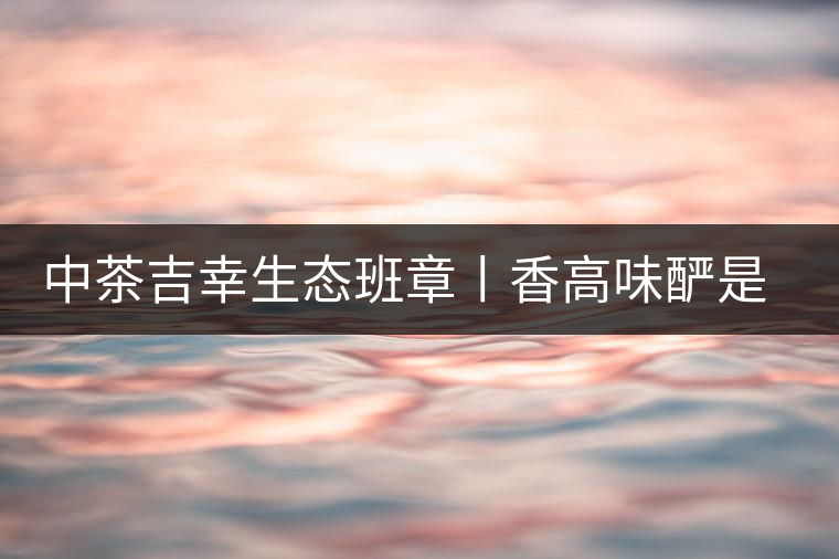 中茶吉幸生態(tài)班章丨香高味釅是王者，且品且珍惜