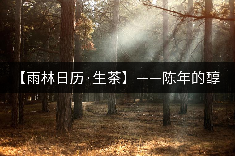 【雨林日歷·生茶】——陳年的醇，老料的香！