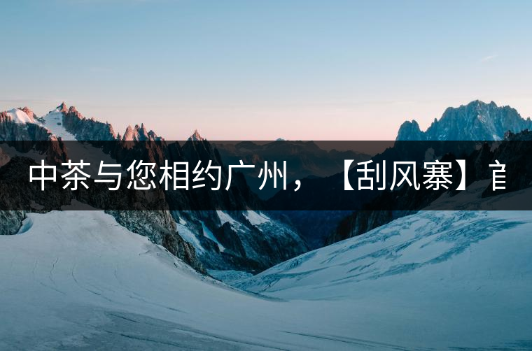 中茶與您相約廣州，【刮風寨】首次亮相！