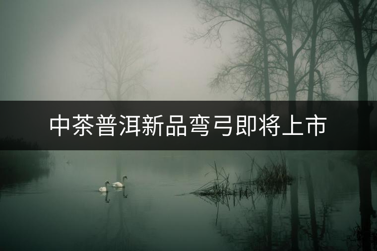 中茶普洱新品彎弓即將上市 中茶普洱新品彎弓即將上市